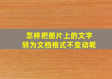 怎样把图片上的文字转为文档格式不变动呢