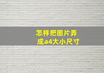 怎样把图片弄成a4大小尺寸