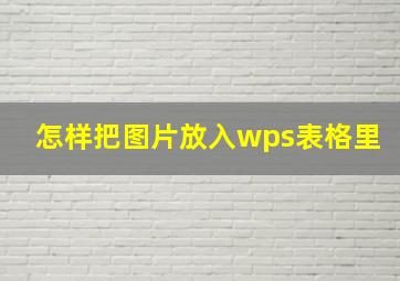 怎样把图片放入wps表格里