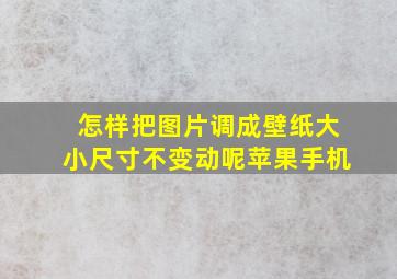 怎样把图片调成壁纸大小尺寸不变动呢苹果手机