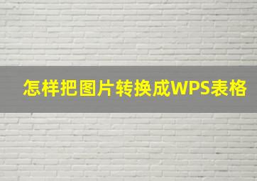 怎样把图片转换成WPS表格