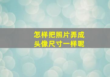 怎样把照片弄成头像尺寸一样呢