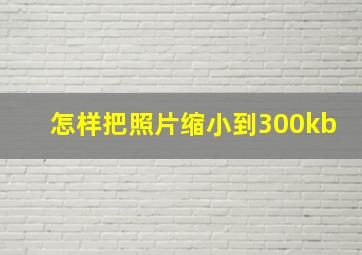 怎样把照片缩小到300kb