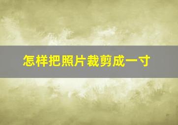 怎样把照片裁剪成一寸