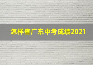 怎样查广东中考成绩2021