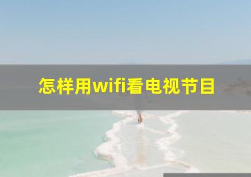 怎样用wifi看电视节目