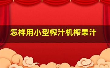 怎样用小型榨汁机榨果汁