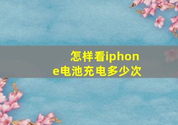 怎样看iphone电池充电多少次