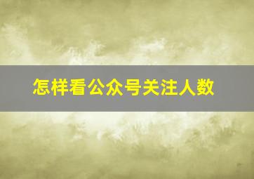 怎样看公众号关注人数