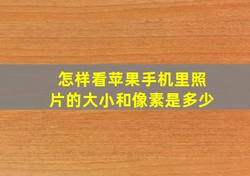 怎样看苹果手机里照片的大小和像素是多少