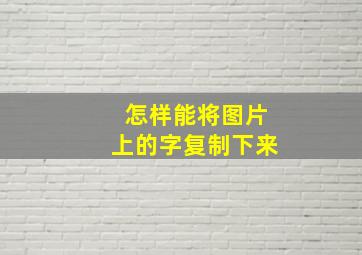 怎样能将图片上的字复制下来