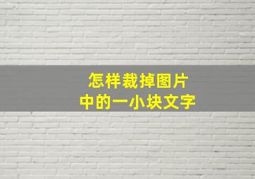 怎样裁掉图片中的一小块文字