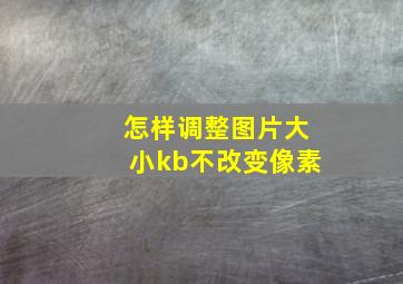 怎样调整图片大小kb不改变像素