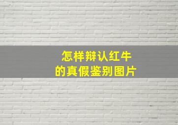 怎样辩认红牛的真假鉴别图片