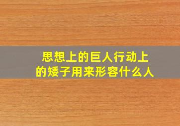 思想上的巨人行动上的矮子用来形容什么人