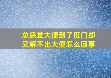 总感觉大便到了肛门却又解不出大便怎么回事