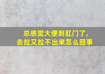 总感觉大便到肛门了,去拉又拉不出来怎么回事