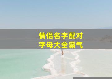 情侣名字配对字母大全霸气