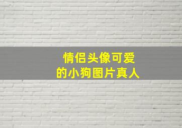 情侣头像可爱的小狗图片真人