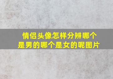 情侣头像怎样分辨哪个是男的哪个是女的呢图片