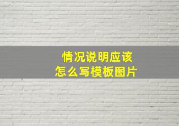 情况说明应该怎么写模板图片