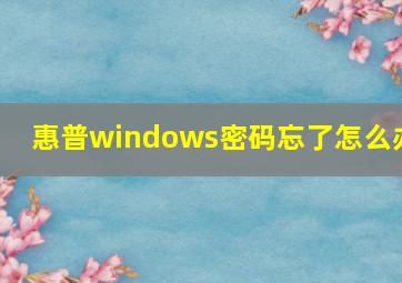 惠普windows密码忘了怎么办