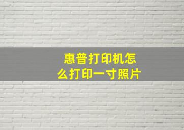 惠普打印机怎么打印一寸照片