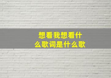 想看我想看什么歌词是什么歌