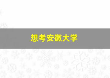 想考安徽大学