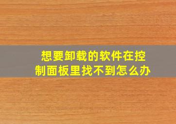 想要卸载的软件在控制面板里找不到怎么办