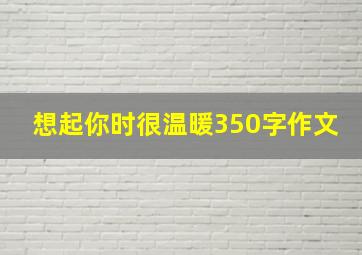 想起你时很温暖350字作文