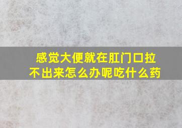 感觉大便就在肛门口拉不出来怎么办呢吃什么药