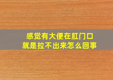 感觉有大便在肛门口就是拉不出来怎么回事