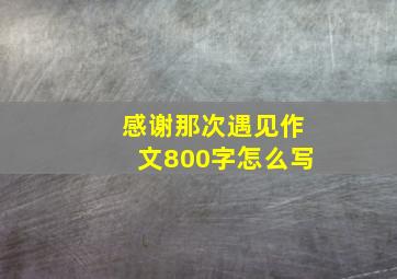 感谢那次遇见作文800字怎么写