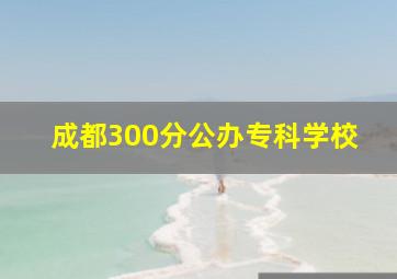 成都300分公办专科学校