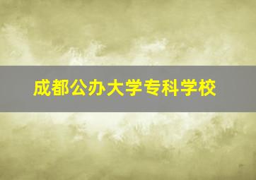 成都公办大学专科学校