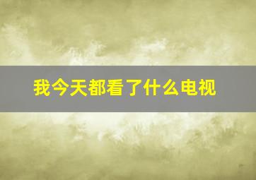 我今天都看了什么电视