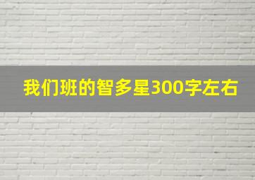 我们班的智多星300字左右