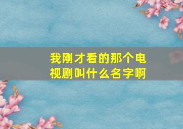 我刚才看的那个电视剧叫什么名字啊