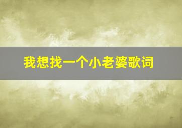 我想找一个小老婆歌词