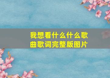 我想看什么什么歌曲歌词完整版图片