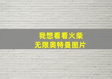 我想看看火柴无限奥特曼图片