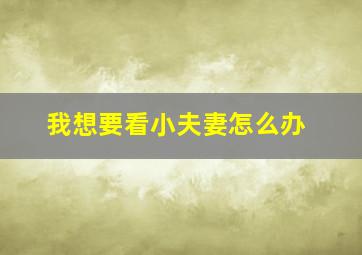 我想要看小夫妻怎么办