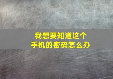 我想要知道这个手机的密码怎么办