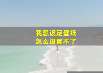 我想设定壁纸怎么设置不了