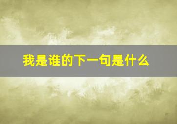 我是谁的下一句是什么