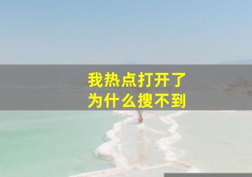 我热点打开了为什么搜不到