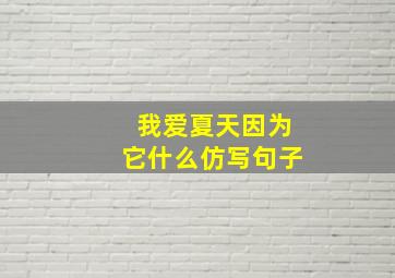 我爱夏天因为它什么仿写句子