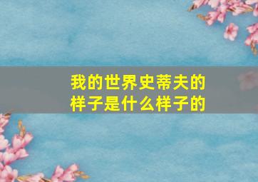 我的世界史蒂夫的样子是什么样子的