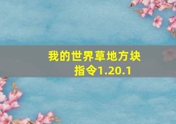 我的世界草地方块指令1.20.1